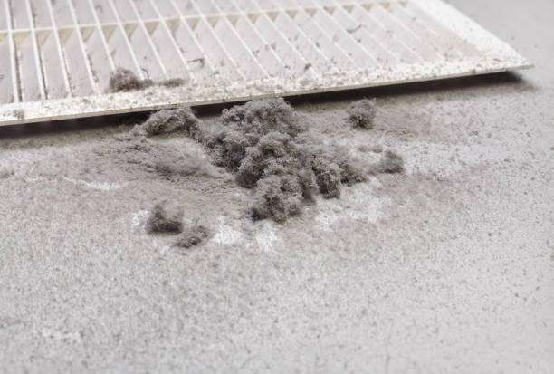 Best Best Air Duct Cleaning Company  in La Marque, TX