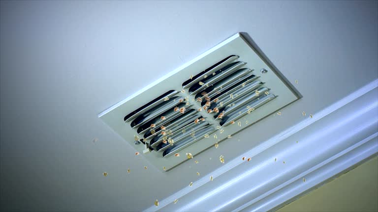 Best Affordable HVAC Duct Cleaning  in La Marque, TX