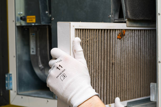 Best Commercial HVAC Duct Cleaning  in La Marque, TX