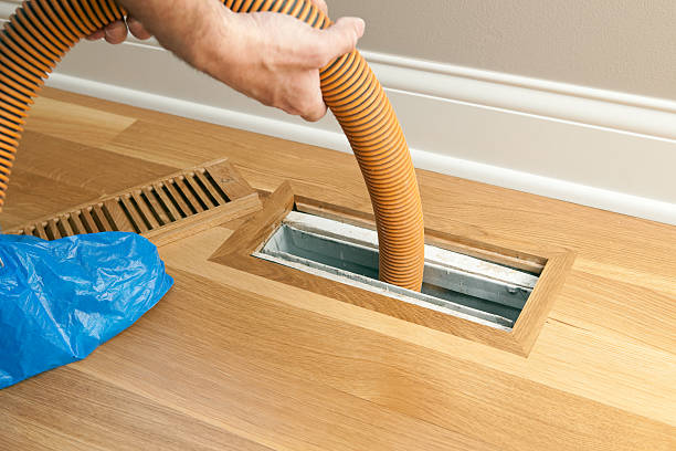 Best HVAC Maintenance and Cleaning  in La Marque, TX