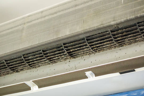 Best Professional Duct Cleaning Services  in La Marque, TX