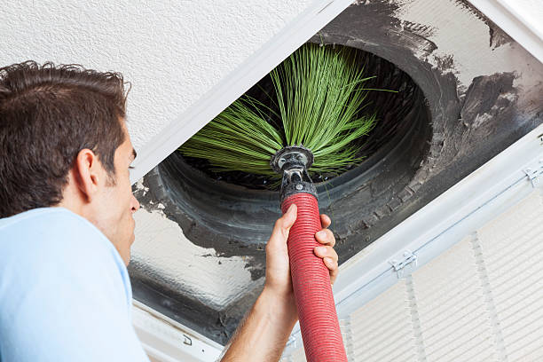 Best Air Vent Cleaning Services  in La Marque, TX